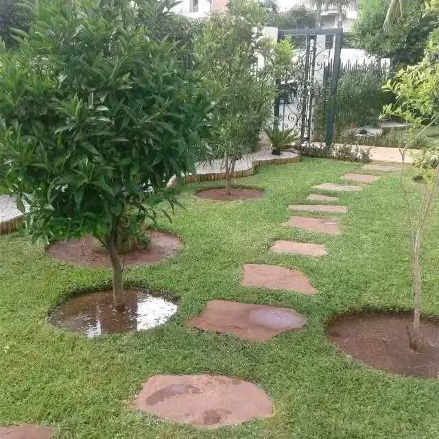نموذج عمل 6